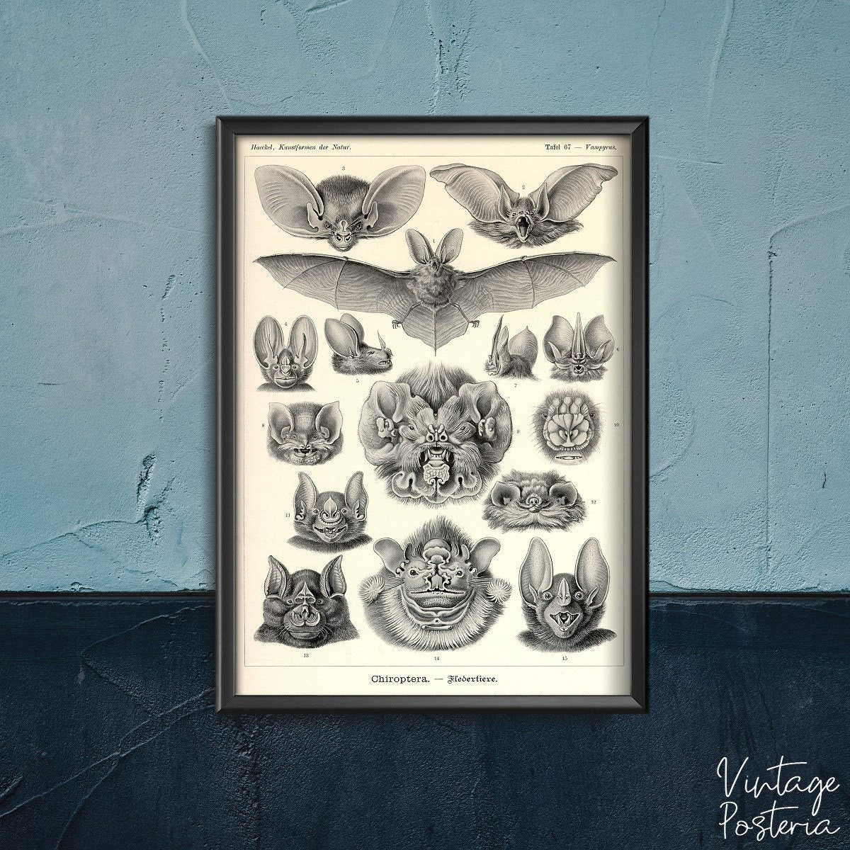  Vintage Bats Print Vintage Poster, Vintage Home Decor, Retro , Old Movie Wall Art