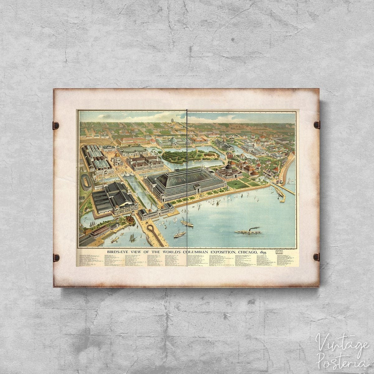  Old Map of Birds Eye View Of the World Columbia Exposition Vintage Poster, Wall Decor, Map Posters, Countries Decor