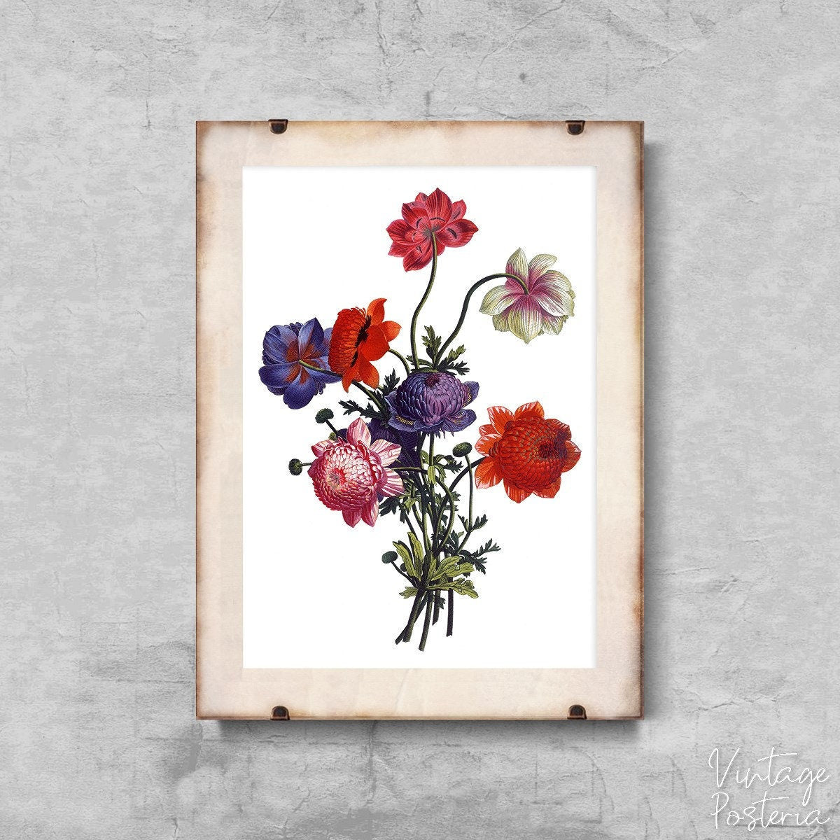  Vintage Floral Boquet Vintage Poster, Wall Decor, Flower Art, Herbs Decor